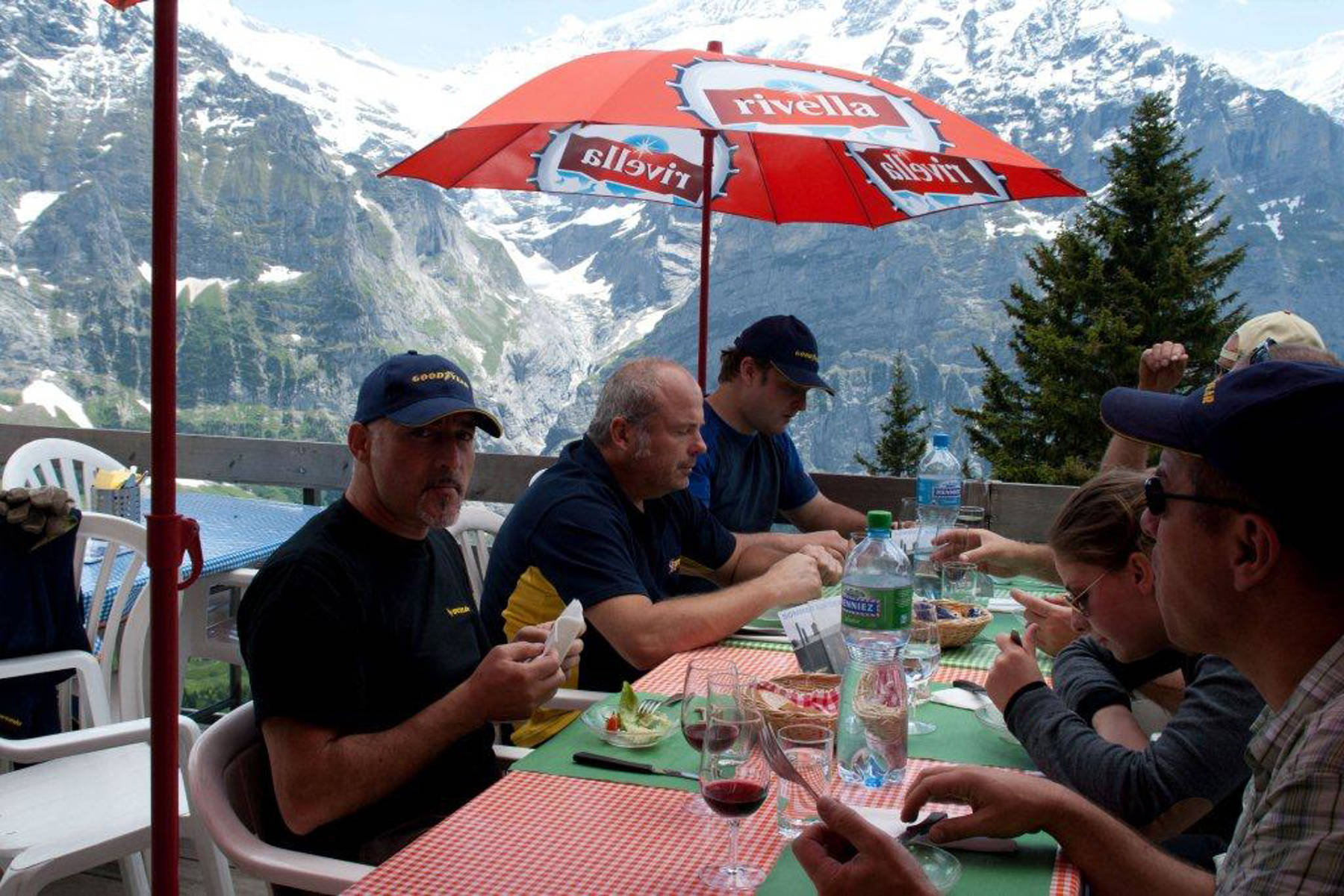 Bäumepflanzen 15.6.2012