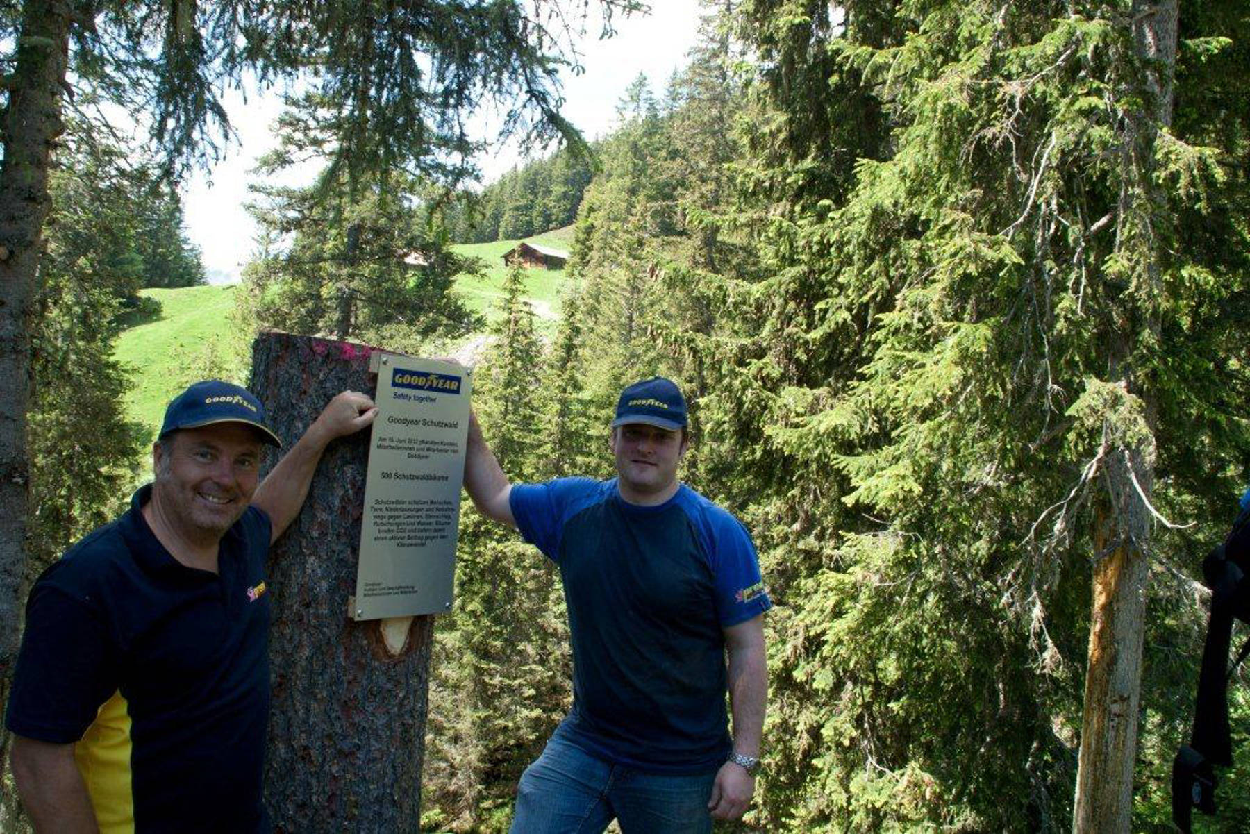 Bäume Pflanzen 15.6.2012